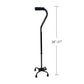 Quad Cane with Small Base Dimensions - Black